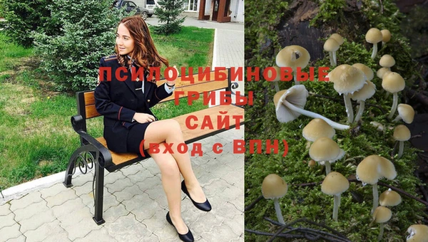 альфа пвп Вяземский