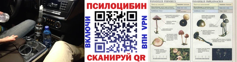 Купить  Суворов  Псилоцибиновые грибы GOLDEN TEACHER 